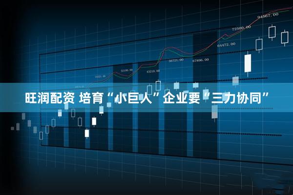 旺润配资 培育“小巨人”企业要“三力协同”
