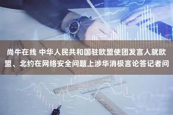 尚牛在线 中华人民共和国驻欧盟使团发言人就欧盟、北约在网络安全问题上涉华消极言论答记者问