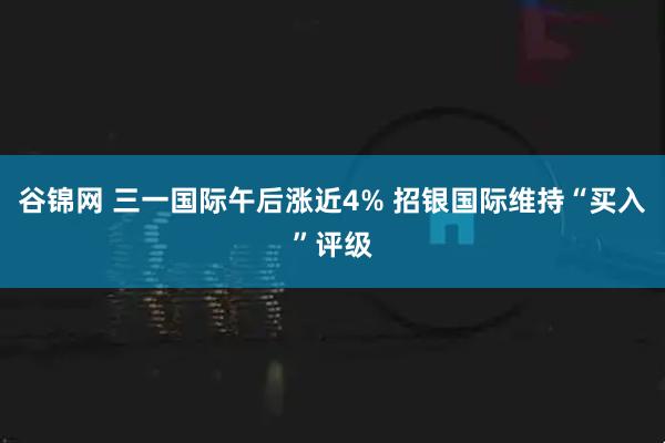 谷锦网 三一国际午后涨近4% 招银国际维持“买入”评级